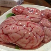 猪脑