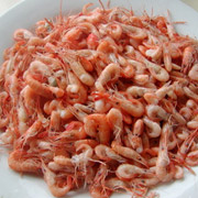 小河虾