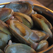 海蚌
