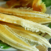 鲨鱼骨
