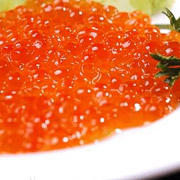 鱼卵