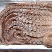 章鱼脚