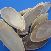 郁金