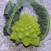 宝塔菜花