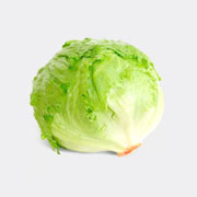 球生菜