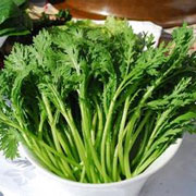 小叶茼蒿