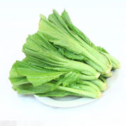 盖菜