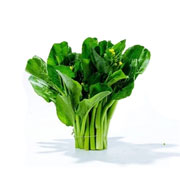 鸡毛菜