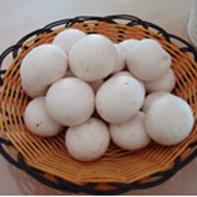 双孢蘑菇