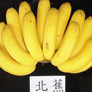北蕉