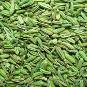 茴香籽