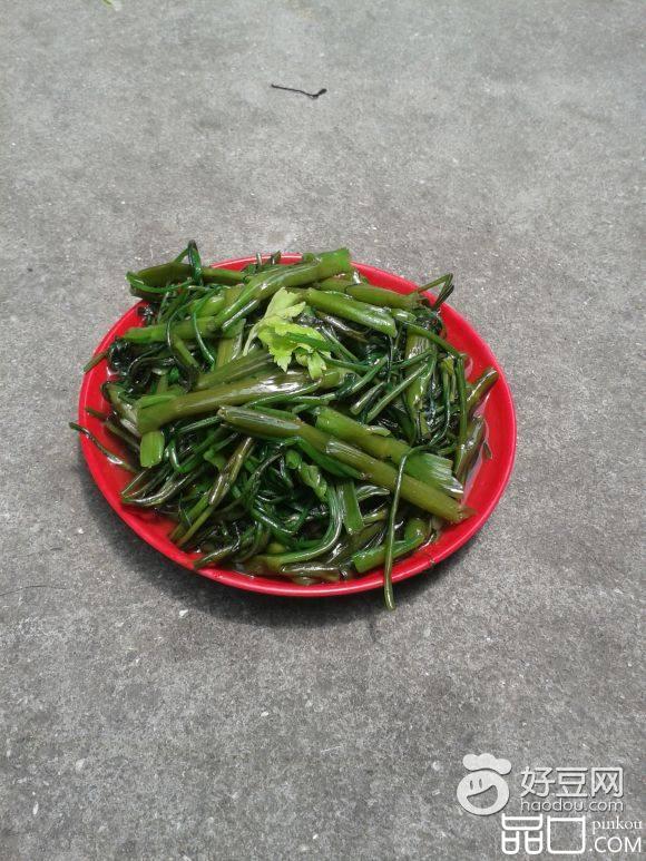小炒有机空心菜
