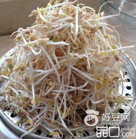 空气炸锅巧发绿豆芽