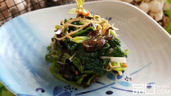 凉拌蚝油菠菜木耳