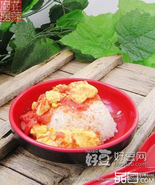 番茄鸡蛋盖饭