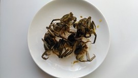 六月黄炒年糕步骤3