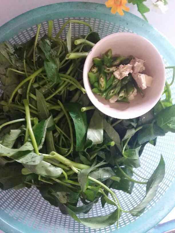 辣椒腐乳炒通菜步骤2