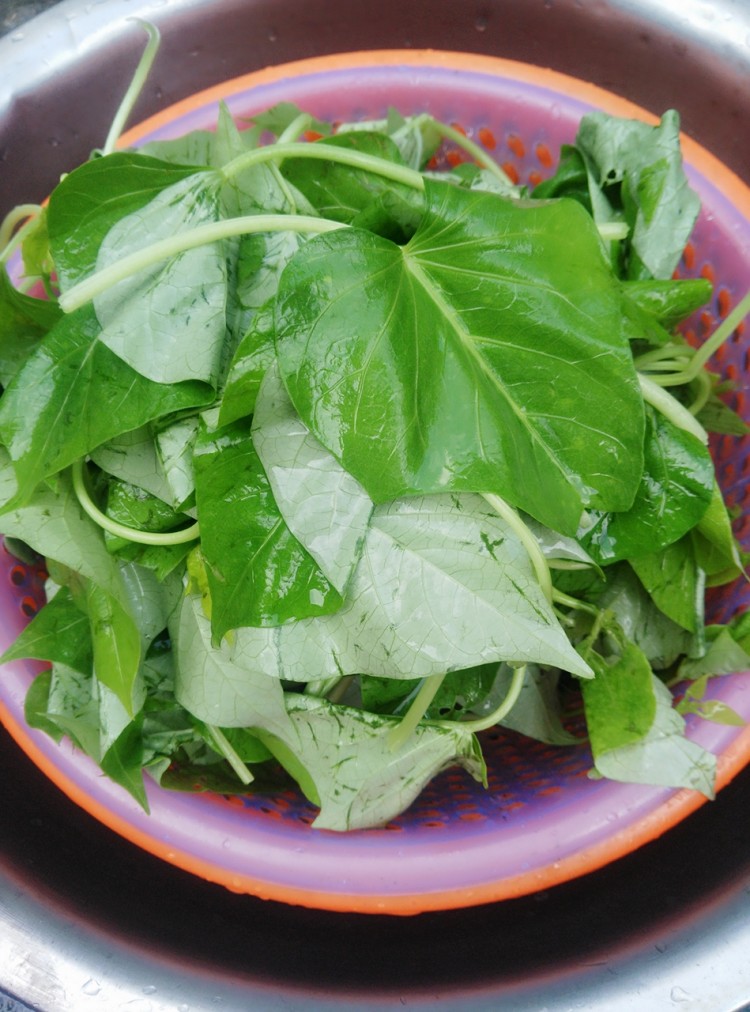 蒜香红薯苗步骤2