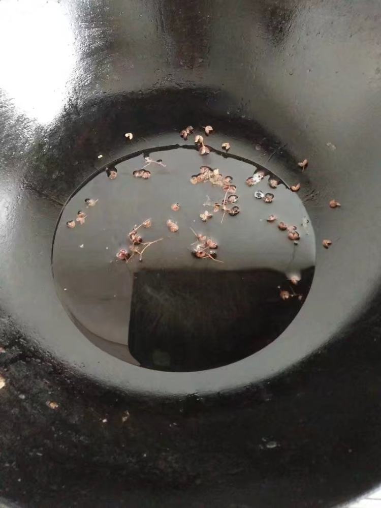 青椒炒鸡步骤5