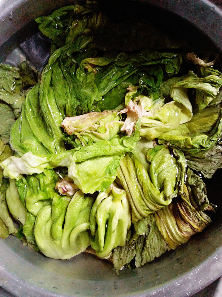 腌制酸菜步骤3