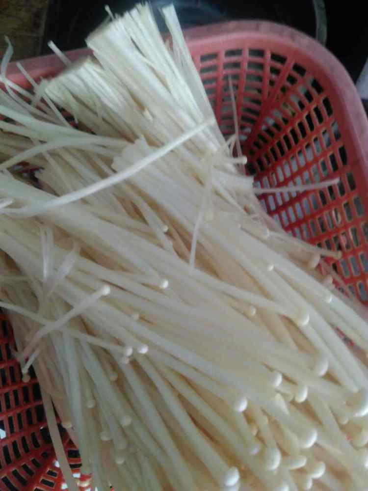 金针菇红萝卜炒肉丝步骤3