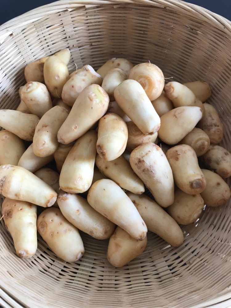 豆豉辣酱焖芋头仔步骤1