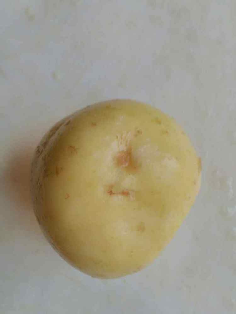 肉炒土豆片步骤1