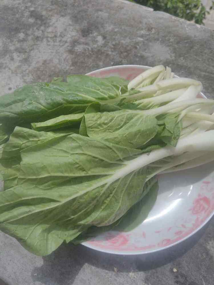 清炒小白菜步骤1