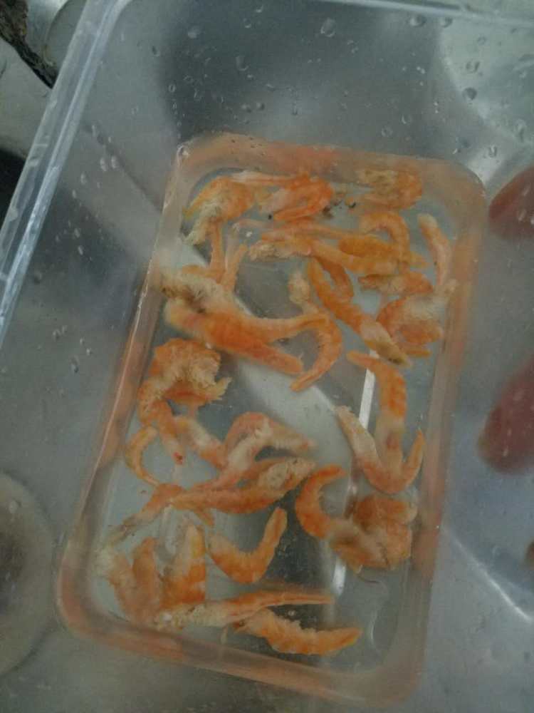 虾米冬瓜步骤2