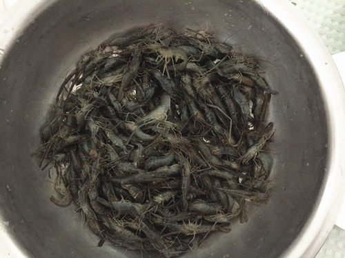 河虾烧酱步骤1