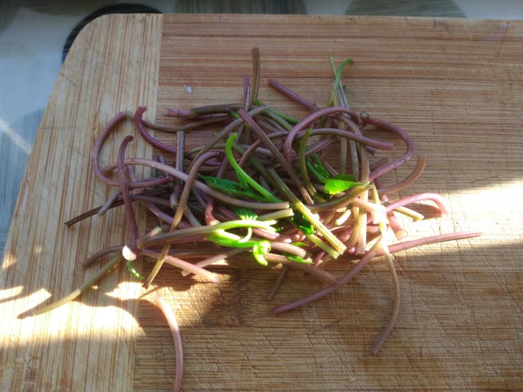 红薯叶炒土豆丝步骤4