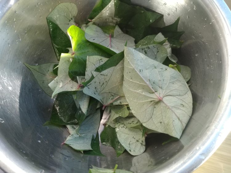 红薯叶炒土豆丝步骤3