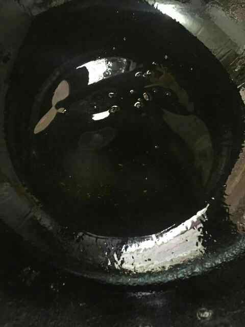 爆炒绿豆芽步骤2