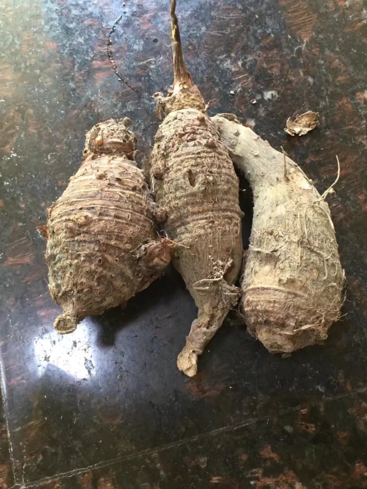 小芋焖排骨步骤1