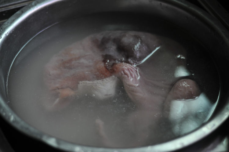 黑豆炖猪肚步骤2