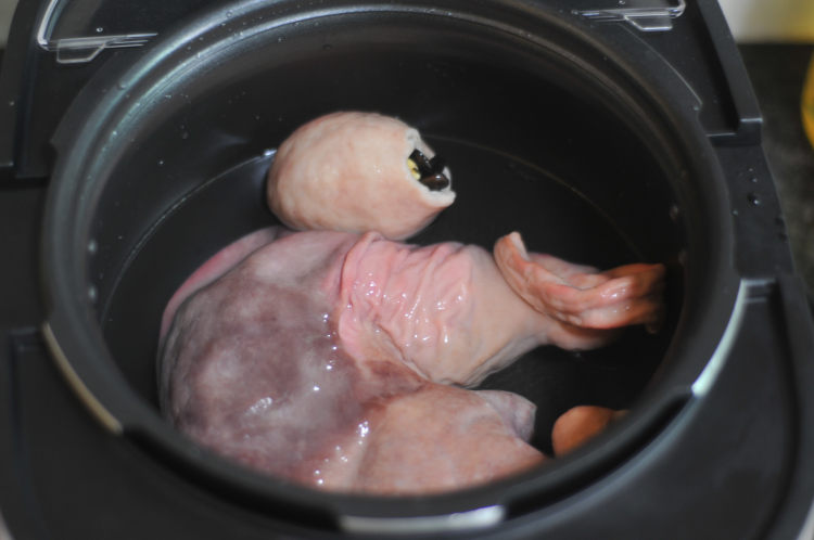 黑豆炖猪肚步骤7