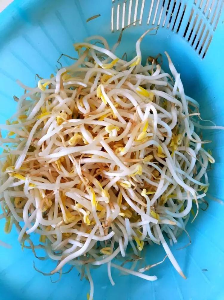 清炒绿豆芽步骤3