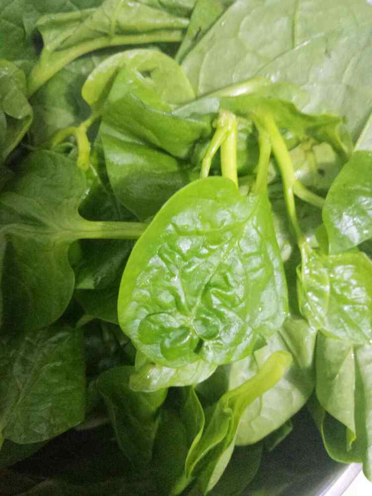 蚝油蒜末木耳菜步骤2