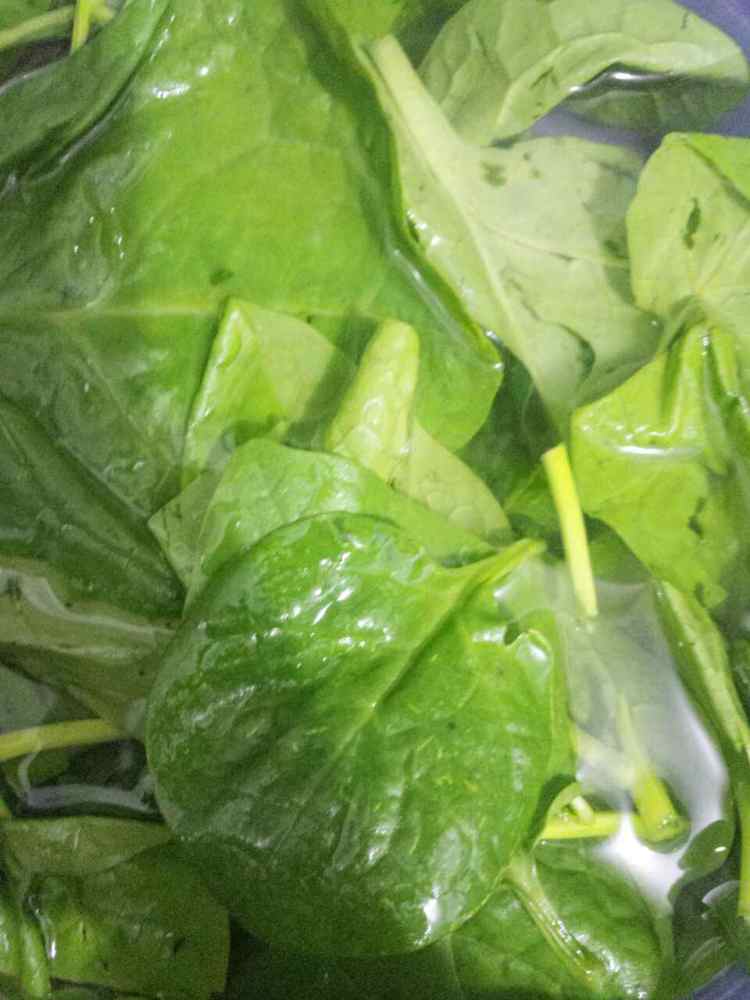 蚝油蒜末木耳菜步骤3