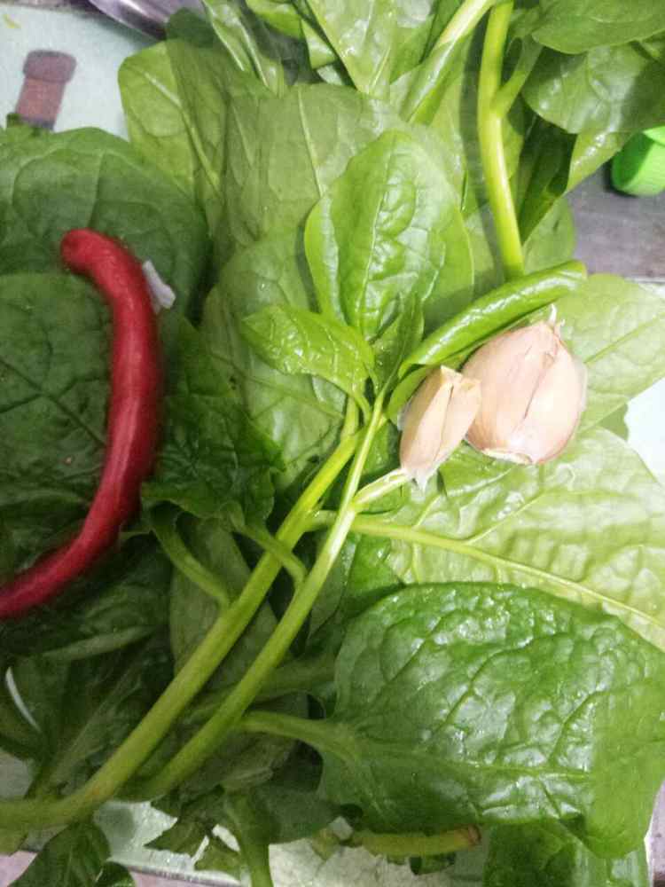 蚝油蒜末木耳菜步骤1