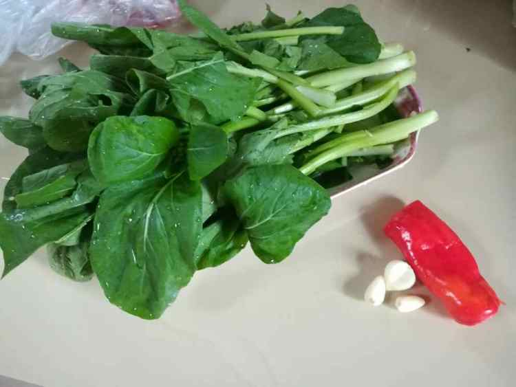 白灼菜心步骤1