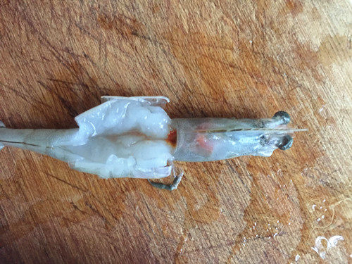 蒜蓉粉丝蒸虾步骤3