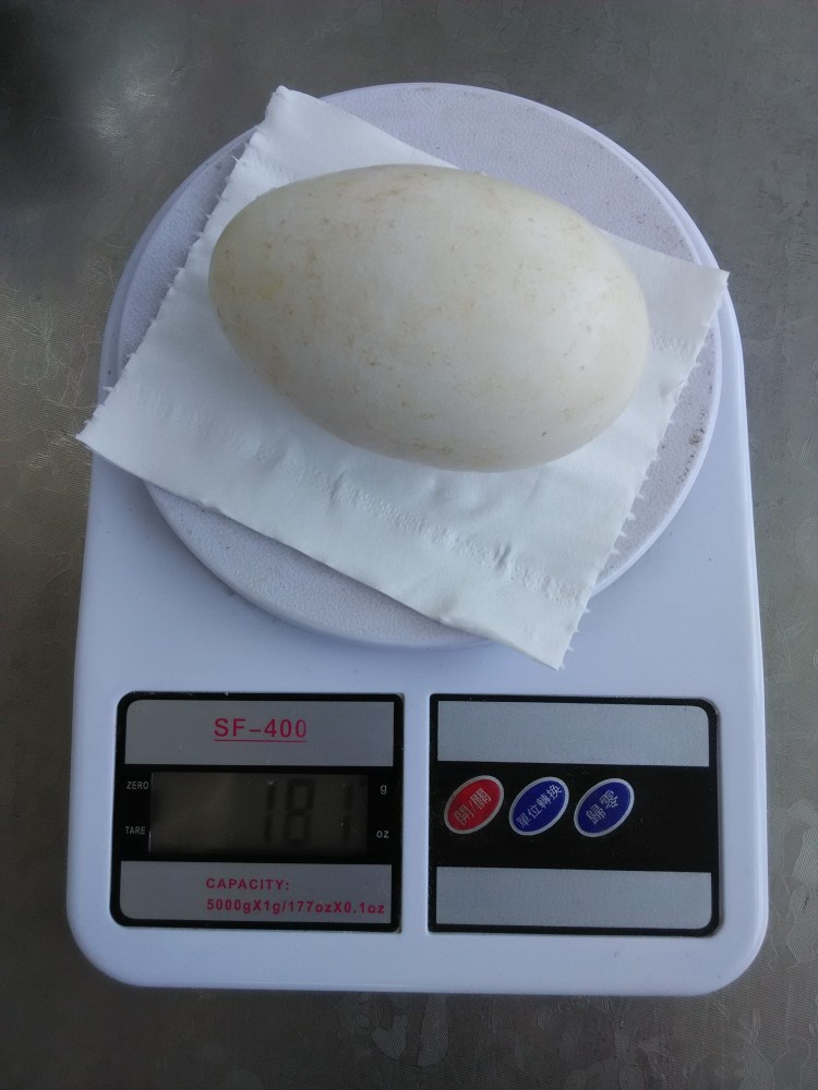 西红柿炒鹅蛋步骤2