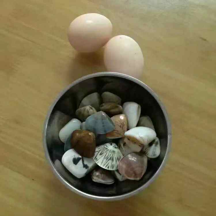 沙白蒸蛋步骤1