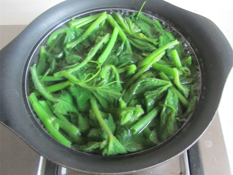 肉末炒南瓜叶步骤4