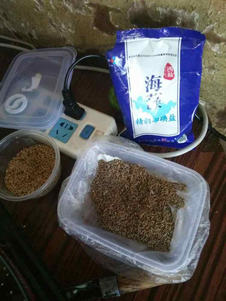 炒墨鱼丸步骤5