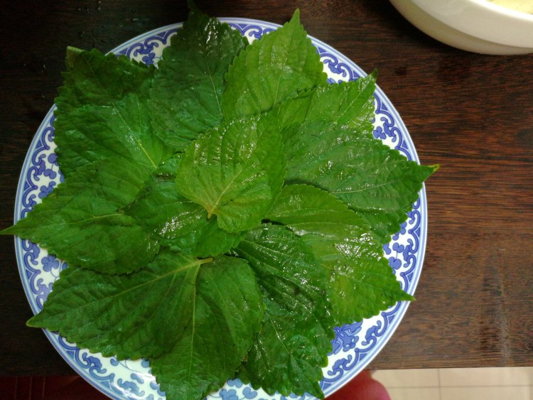 煎鲍菇牛肉步骤4