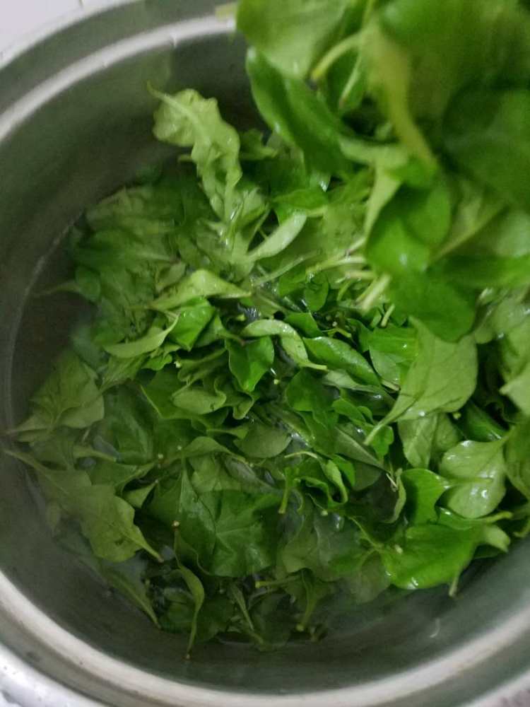 枸杞叶瘦肉汤步骤5