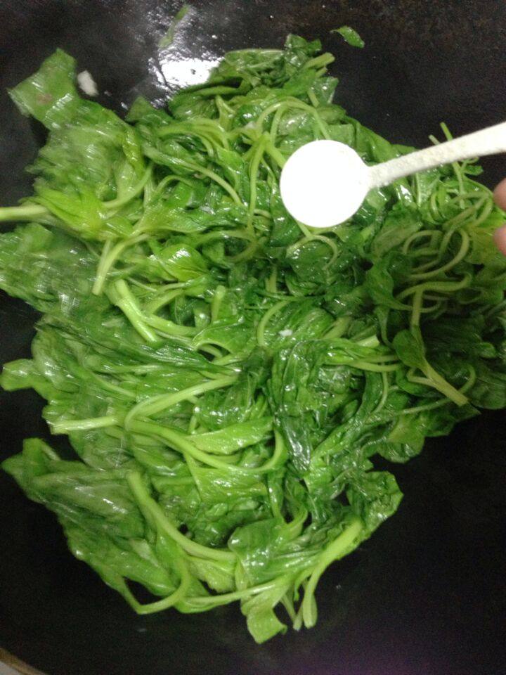 炒白苋菜步骤5