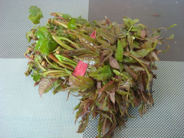 香椿拌豆腐步骤1